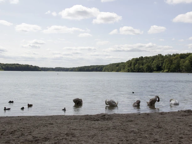 Sacrower See, Foto:TMB-Fotoarchiv/ScottyScout