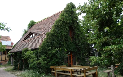 Das Lehm-Ferienhaus in Schönhagen mit Sitzecke draußen