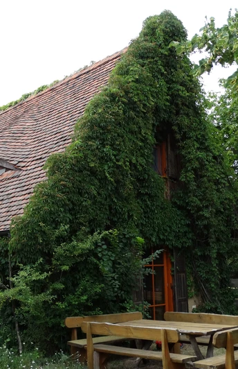 Das Lehm-Ferienhaus in Schönhagen mit Sitzecke draußen