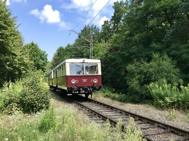 Buckower Kleinbahn