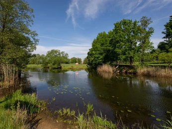 Spree Foto: Florian Läufer