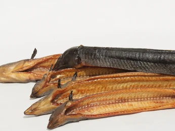 Fischereibetrieb Michael Betge, Plaue