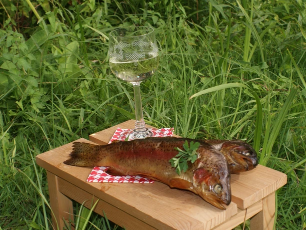 Fischereibetrieb Michael Betge, Plaue