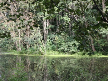 Schlosspark Diedersdorf