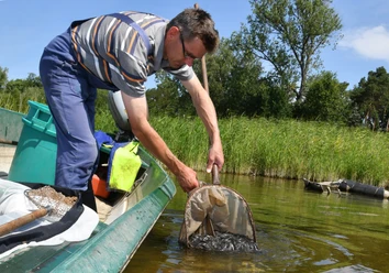 Fischereibetrieb Michael Betge, Plaue