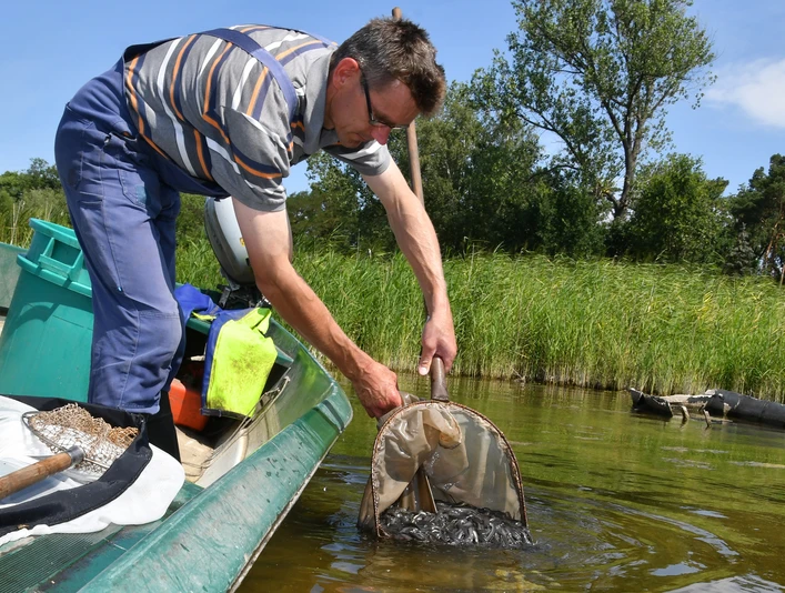 Fischereibetrieb Michael Betge, Plaue