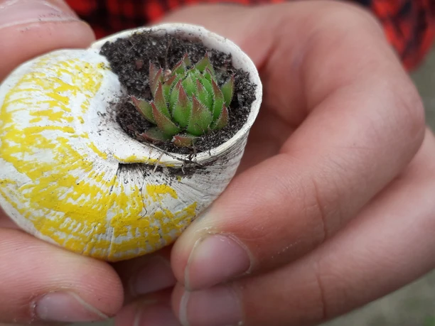 Chaos Kunst Klub Caputh