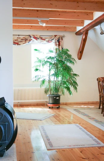 Ferienwohnung im Bauerngut Thielicke