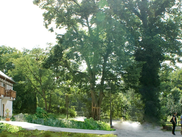 Restaurant Neue Mühle