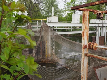 Fischladen Blankensee