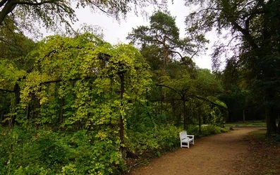 Parkanlage Beelitz Heilstätten, Wandelhalle