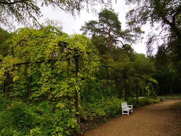 Parkanlage Beelitz Heilstätten, Wandelhalle