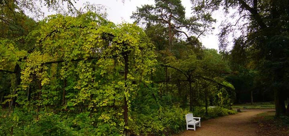 Parkanlage Beelitz Heilstätten, Wandelhalle