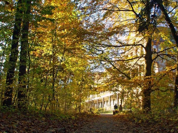 Fußpfad im Waldpark