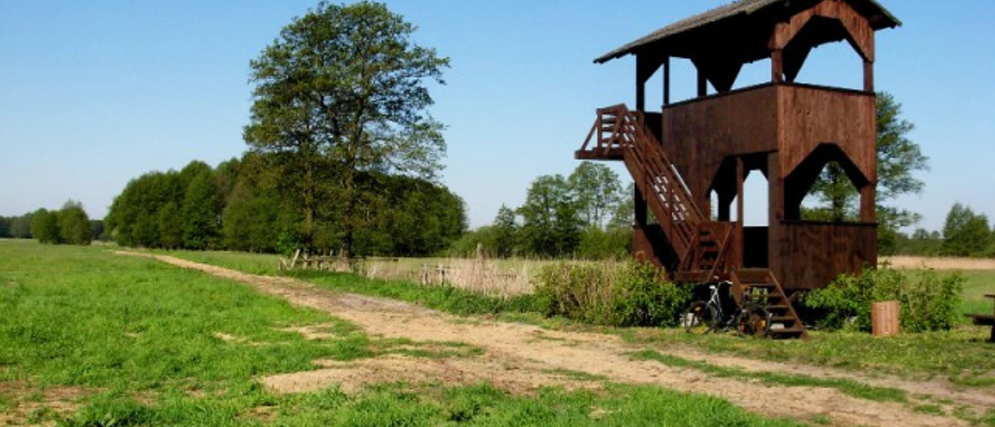 Vogelbeobachtungsturm Grenzelwiesen