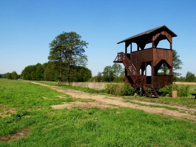 Vogelbeobachtungsturm Grenzelwiesen