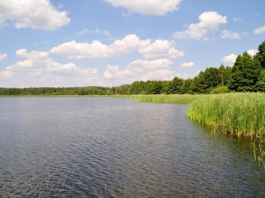 Blick auf den Riebener See