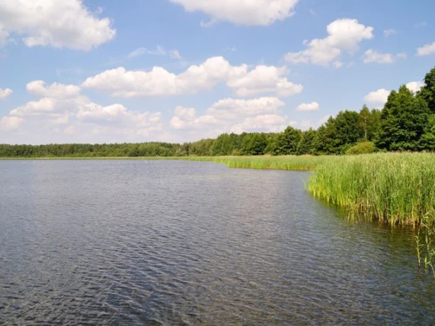 Blick auf den Riebener See