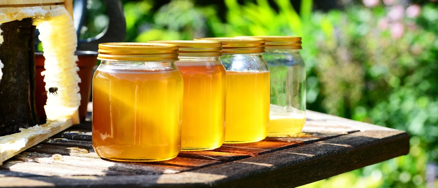 Bild von PollyDot auf Pixabay