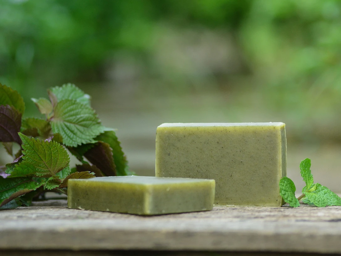 Bild von phuong hoang thuy auf Pixabay