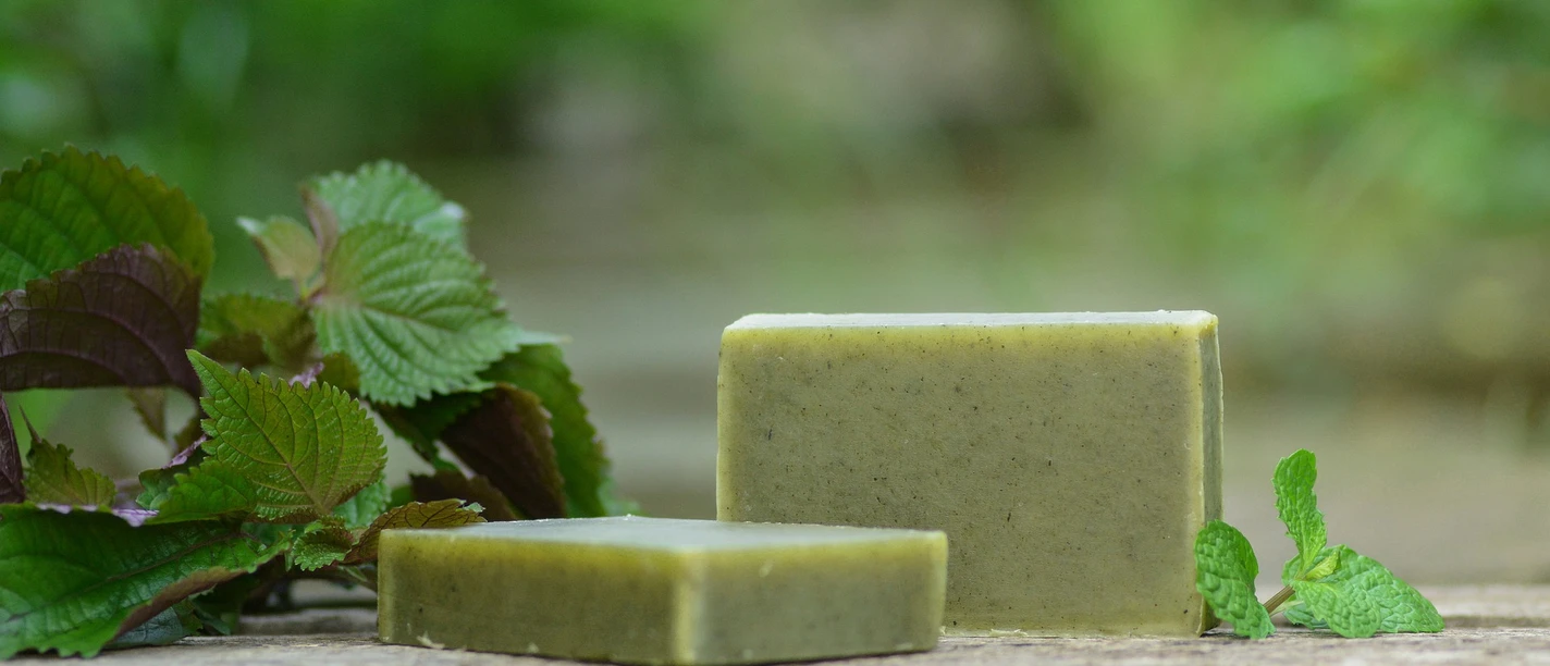 Bild von phuong hoang thuy auf Pixabay