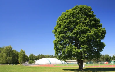 Sport- und Erholungspark Strausberg Strausberg