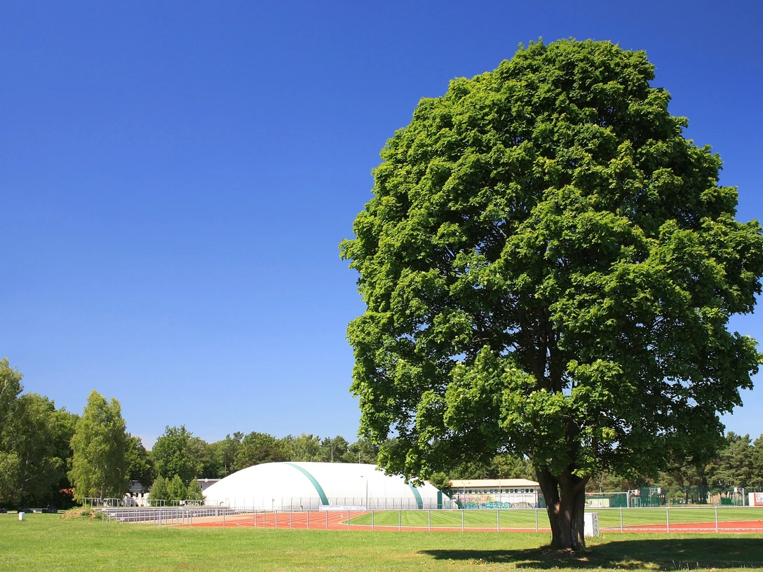Sport- und Erholungspark Strausberg Strausberg