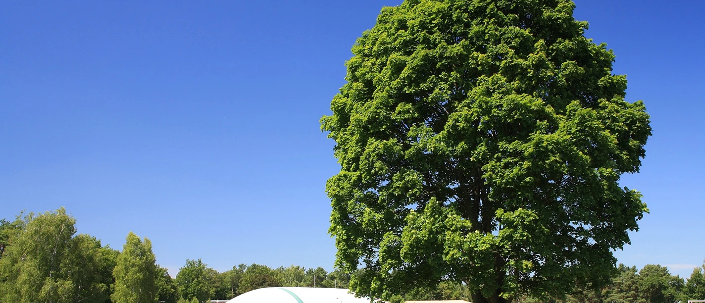 Sport- und Erholungspark Strausberg Strausberg