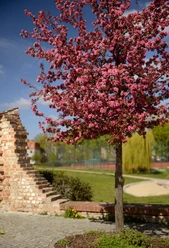 Stadtmauer