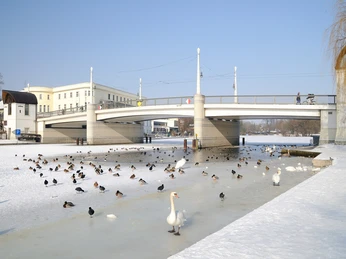 Jahrtausendbrücke im Winter