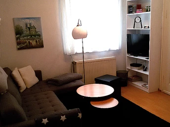 Wohnzimmer im Ferienhaus Plaue