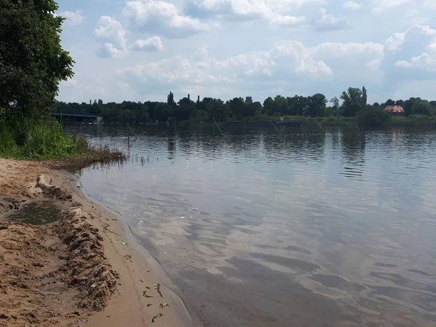Strand am Wendseeufer in Plaue