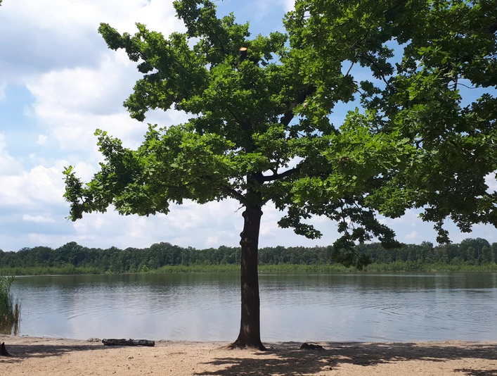 Strand am Gördensee