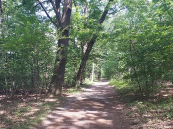 Laufpark GördenseeStrand am Gördensee