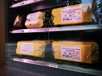 Eier aus dem Hünermobil