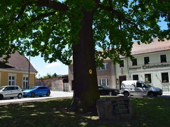 Schneidewein-Stein Foto: Marlen Seidel/Stadt Jüterbog