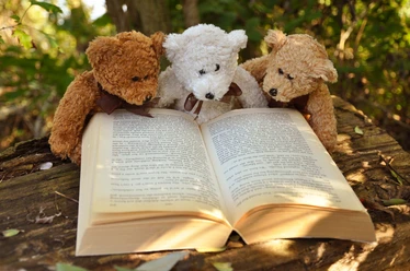 Platzhalterfoto, Bild von Mabel Amber auf Pixabay