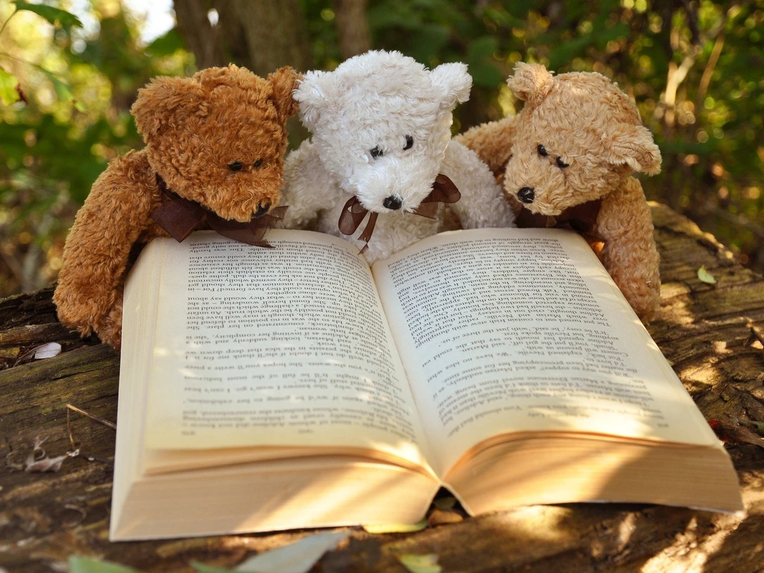 Platzhalterfoto, Bild von Mabel Amber auf Pixabay