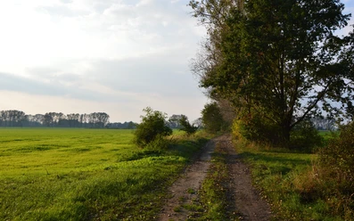 Bei Roskow
