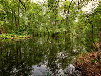 Löcknitz bei Grünheide