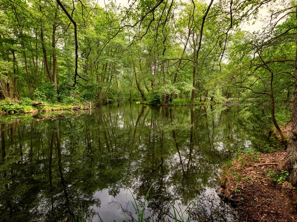 Löcknitz bei Grünheide