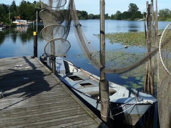 Fisch am Mühlendamm