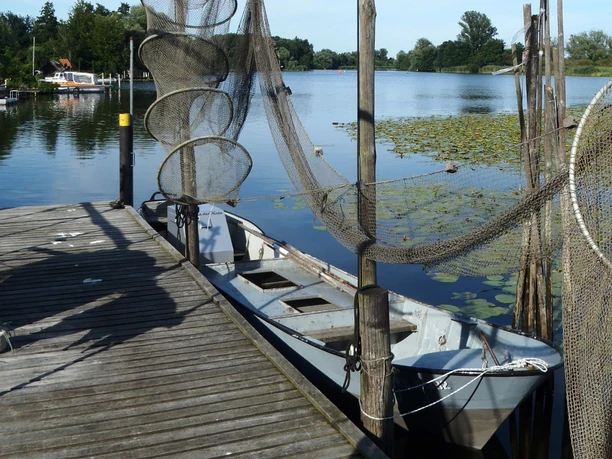 Fisch am Mühlendamm