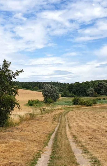 Feldweg bei Wittenberg
