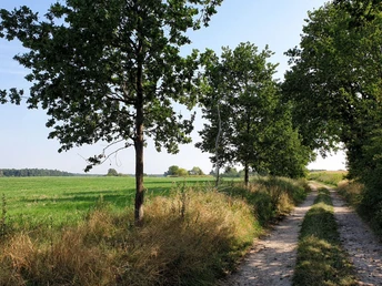 Feldweg bei Sieversdorf
