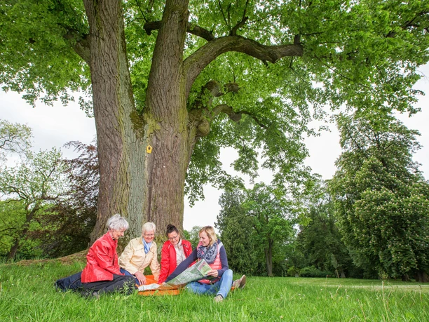 Picknick im Gutspark Jahnsfelde