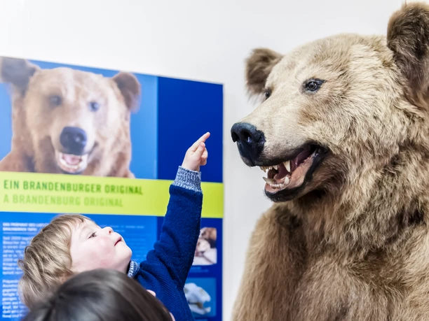 Im Foyer mit Braunbär "Tapsi"