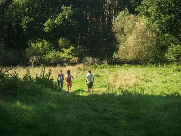 Verwunschenes Löcknitztal
