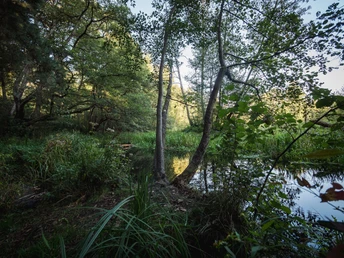 Verwunschenes Löcknitztal