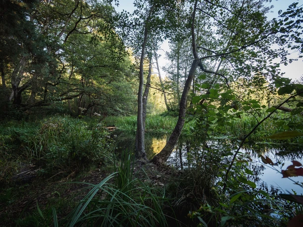 Verwunschenes Löcknitztal
